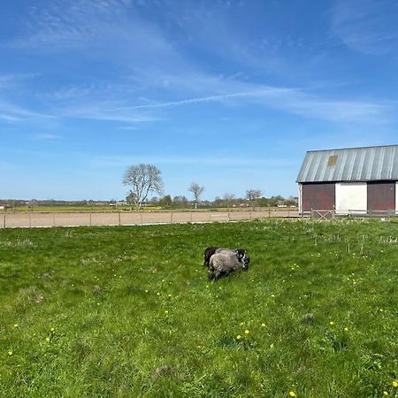 Oesterlen Oasis Spjutstorp Exteriör bild