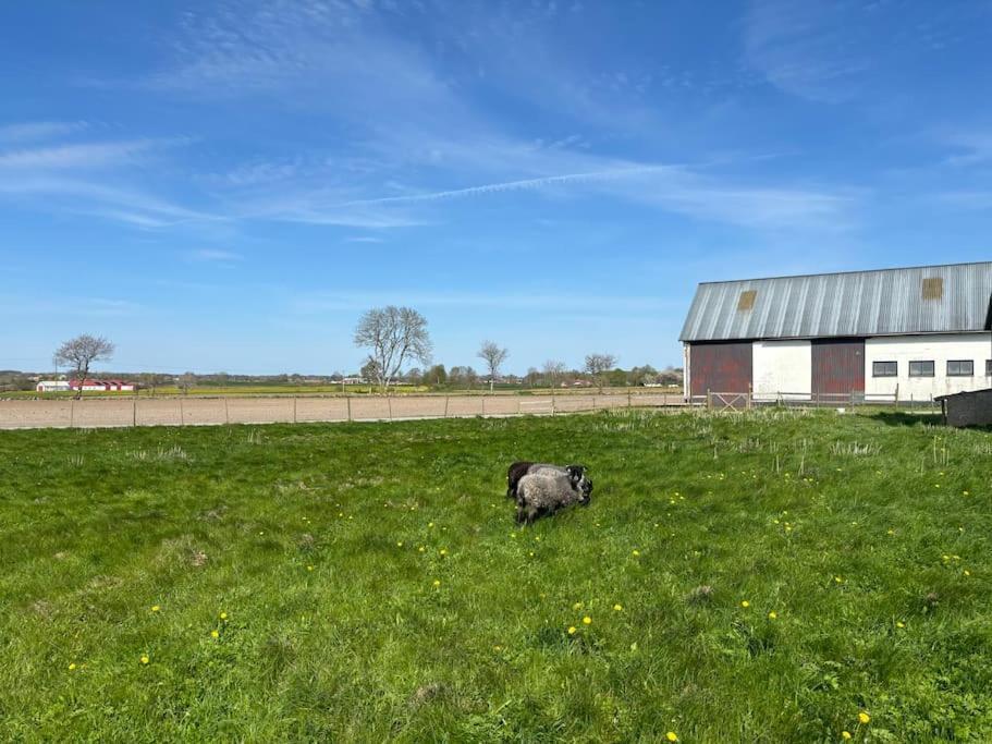 Oesterlen Oasis Spjutstorp Exteriör bild