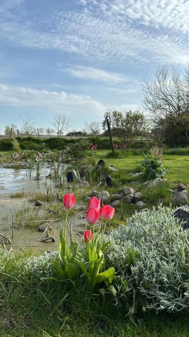 Oesterlen Oasis Spjutstorp Exteriör bild