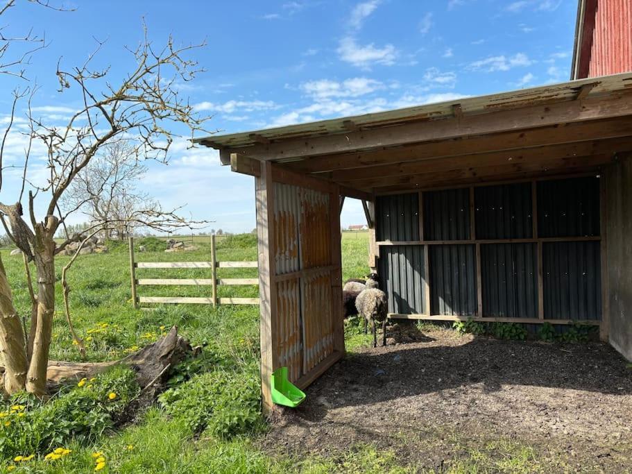Oesterlen Oasis Spjutstorp Exteriör bild